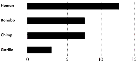 Penis Lengths of African Apes