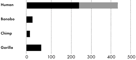 Average Copulation Duration