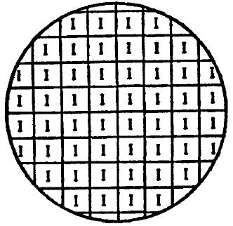 many I's