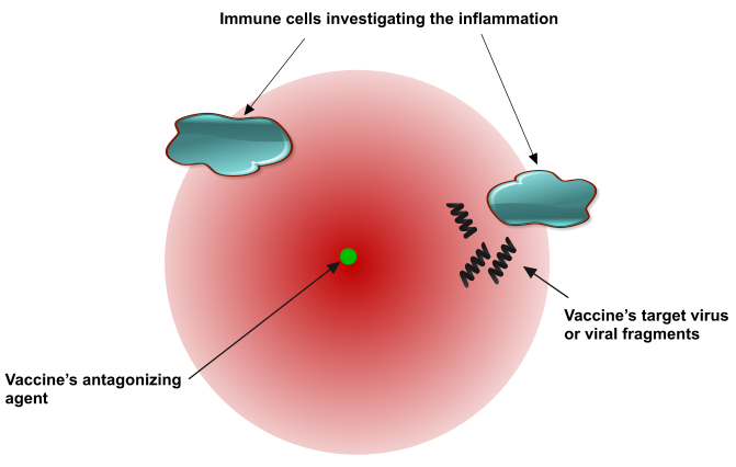 Figure 21