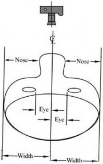 Figure 2.10. Rotated head