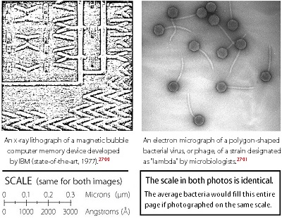 figure 16 3 microstructure in machine and biological lifeforms 400